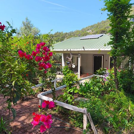 Gelidonia Fenerium Holiday Home Antalya Exteriér fotografie