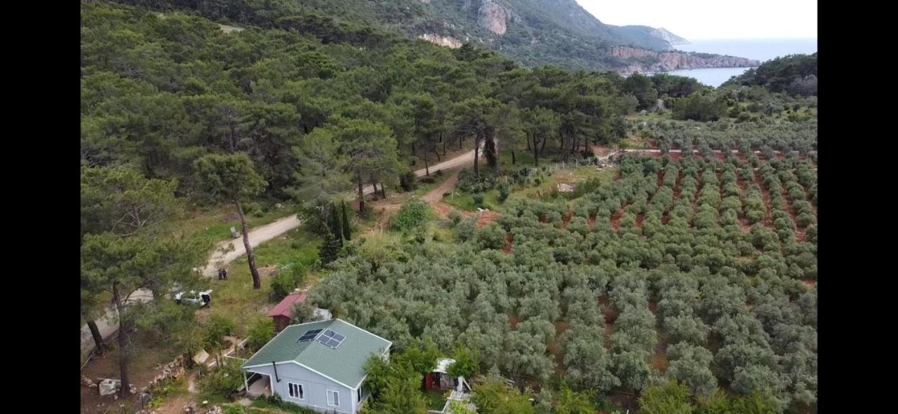 Gelidonia Fenerium Holiday Home Antalya Exteriér fotografie