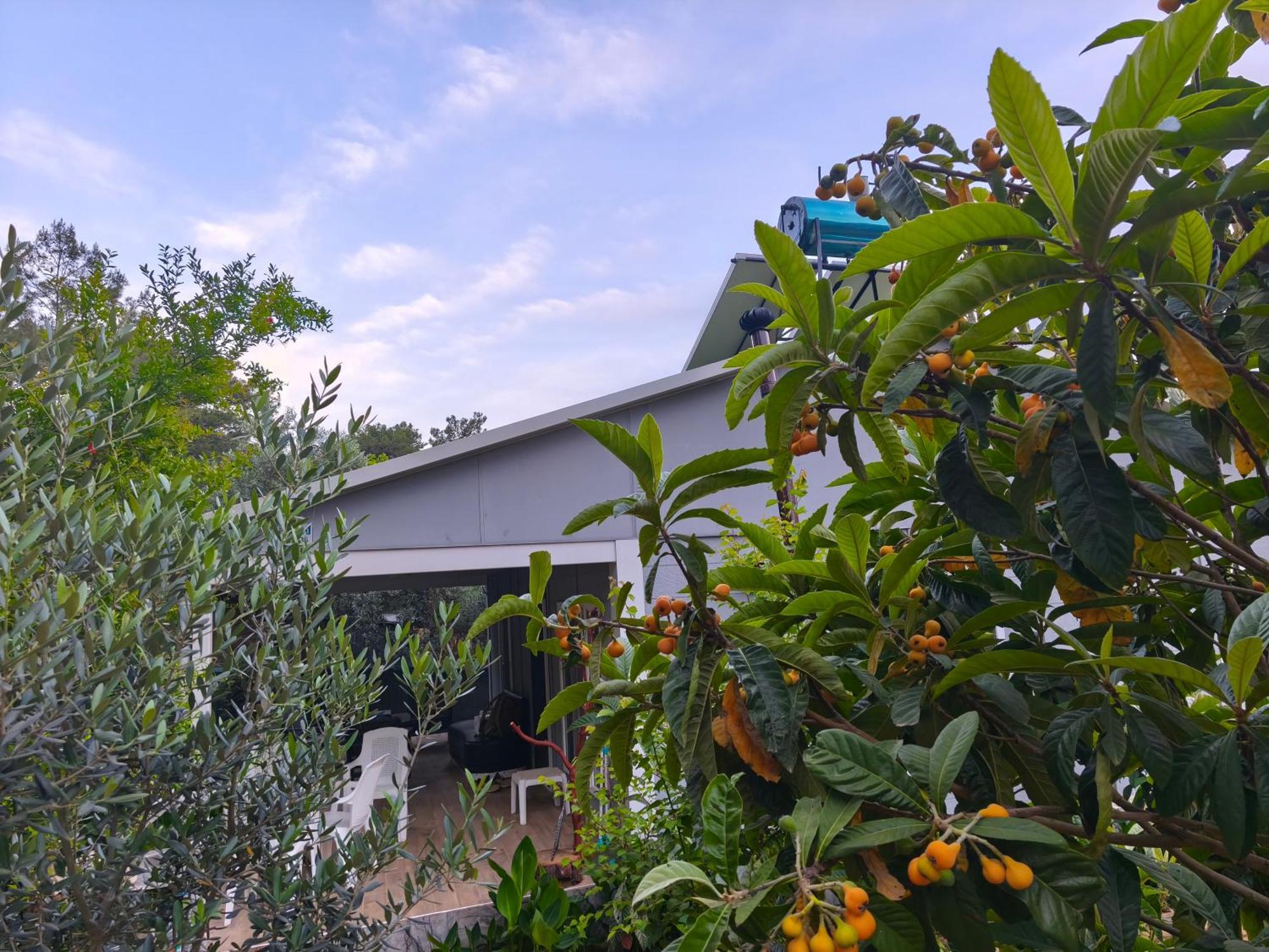 Gelidonia Fenerium Holiday Home Antalya Exteriér fotografie